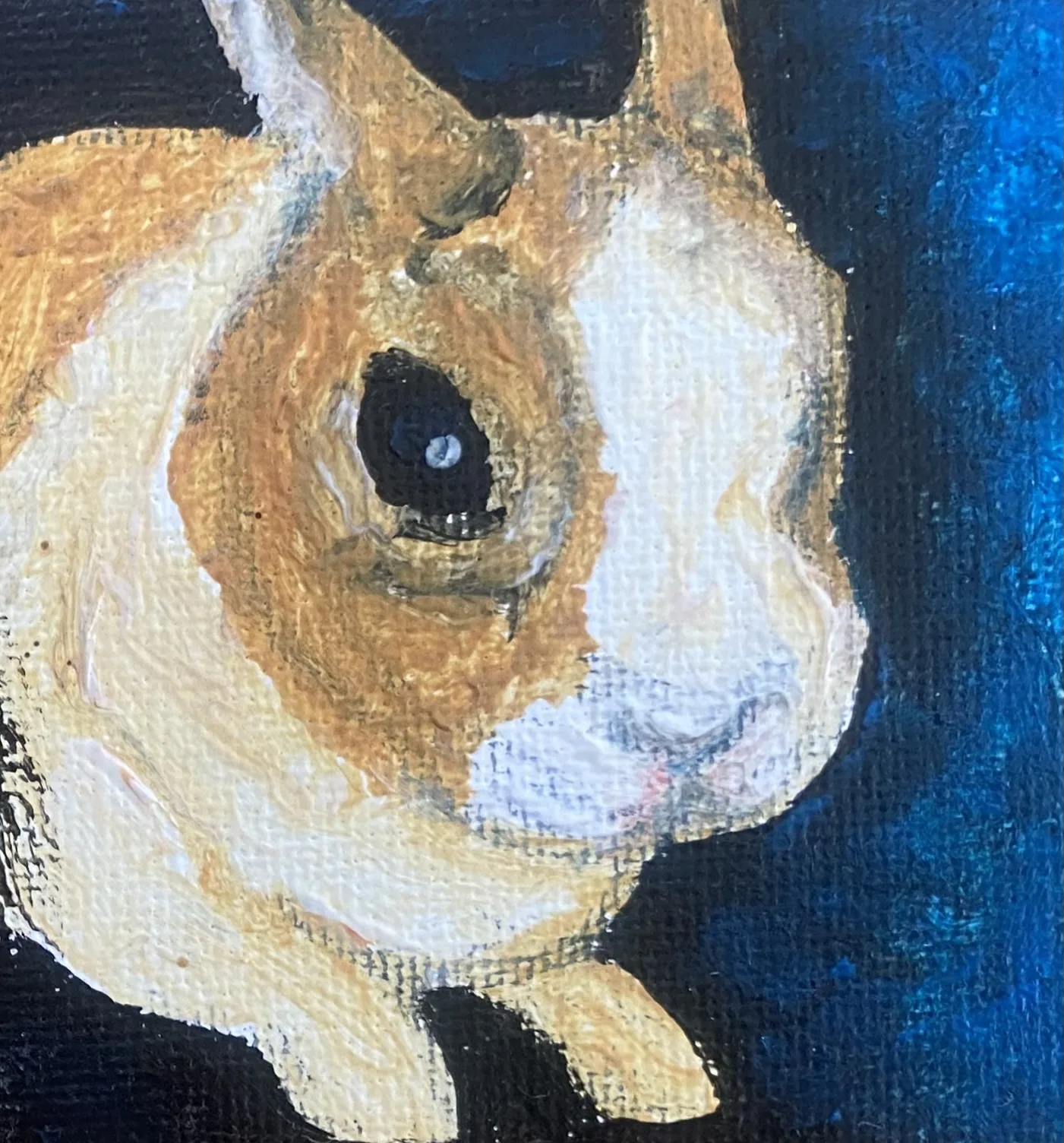 Dierportretten — Natasja van der Jagt