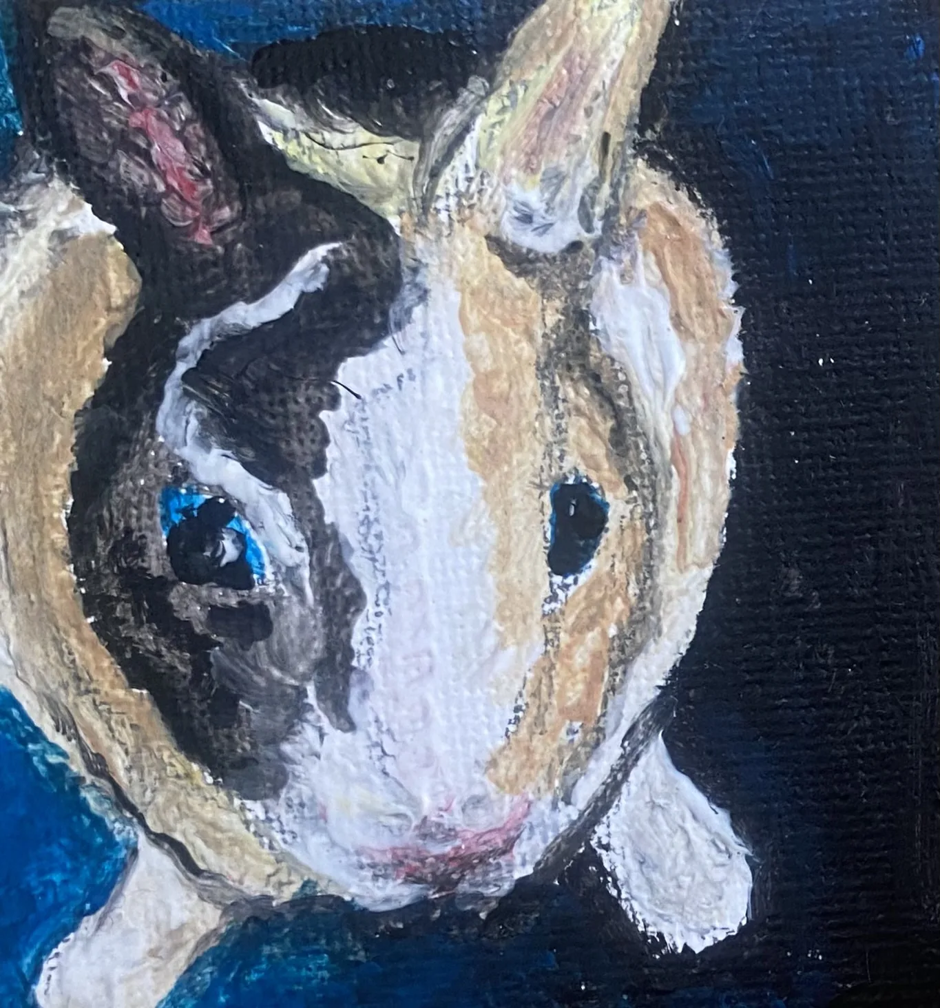 Dierportretten — Natasja van der Jagt